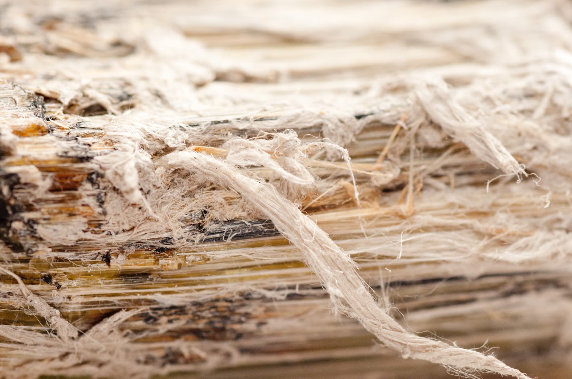 asbestos fibers