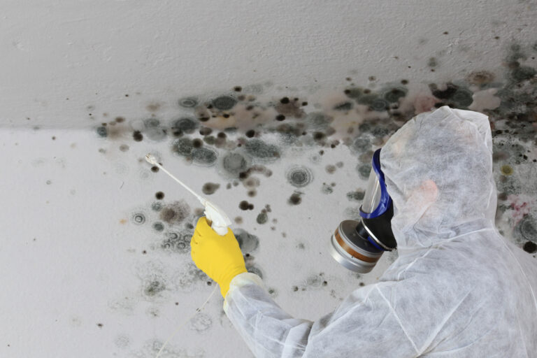 Worker in protective gear cleaning mould on a wall