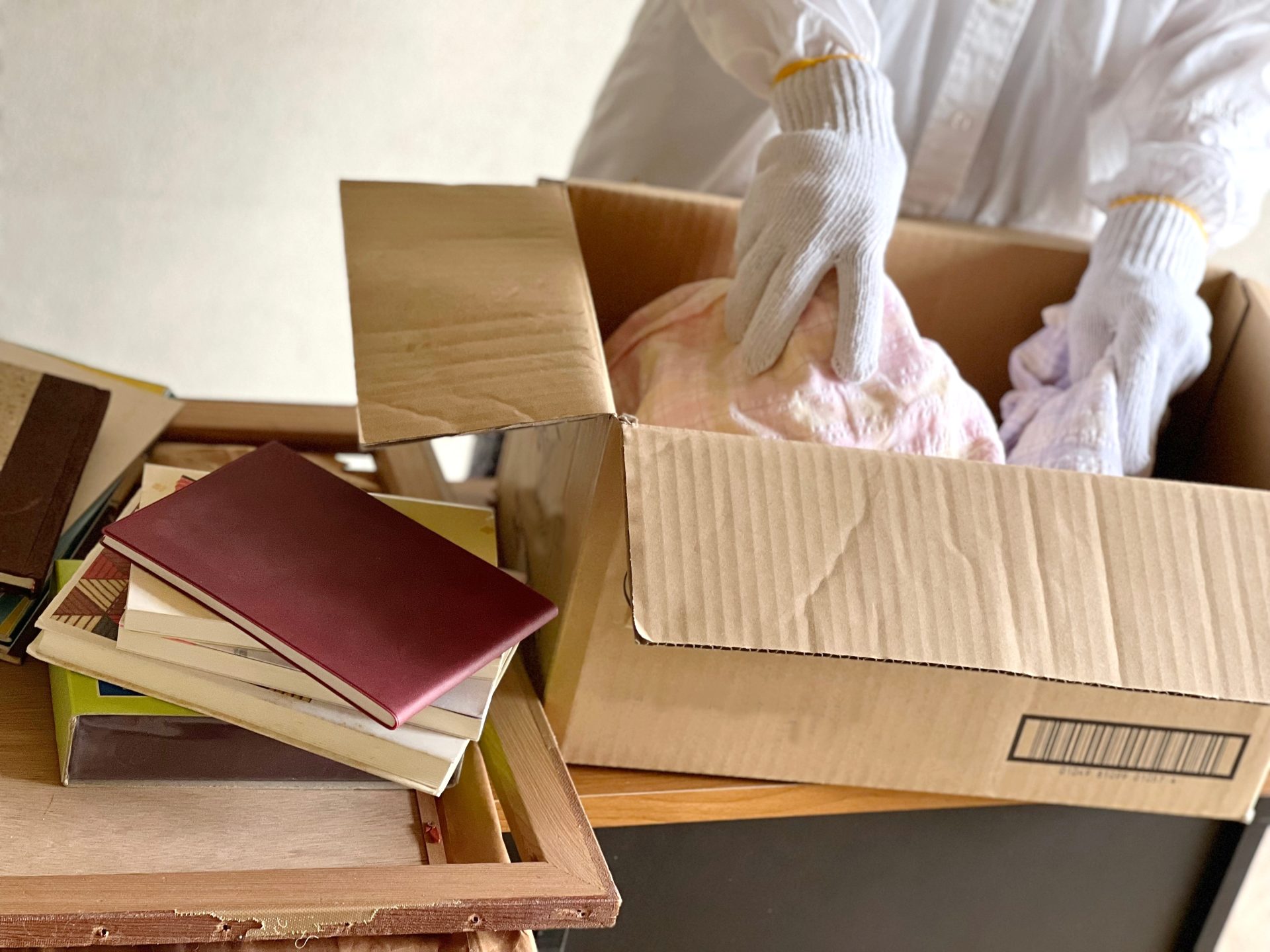 why hire professional cleaners after pest control